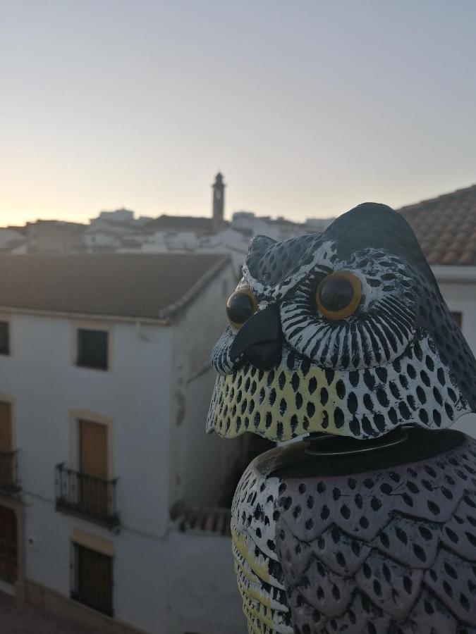 Hospedium Dlj Hostal Tematico Desde La Juderia Arjona Buitenkant foto